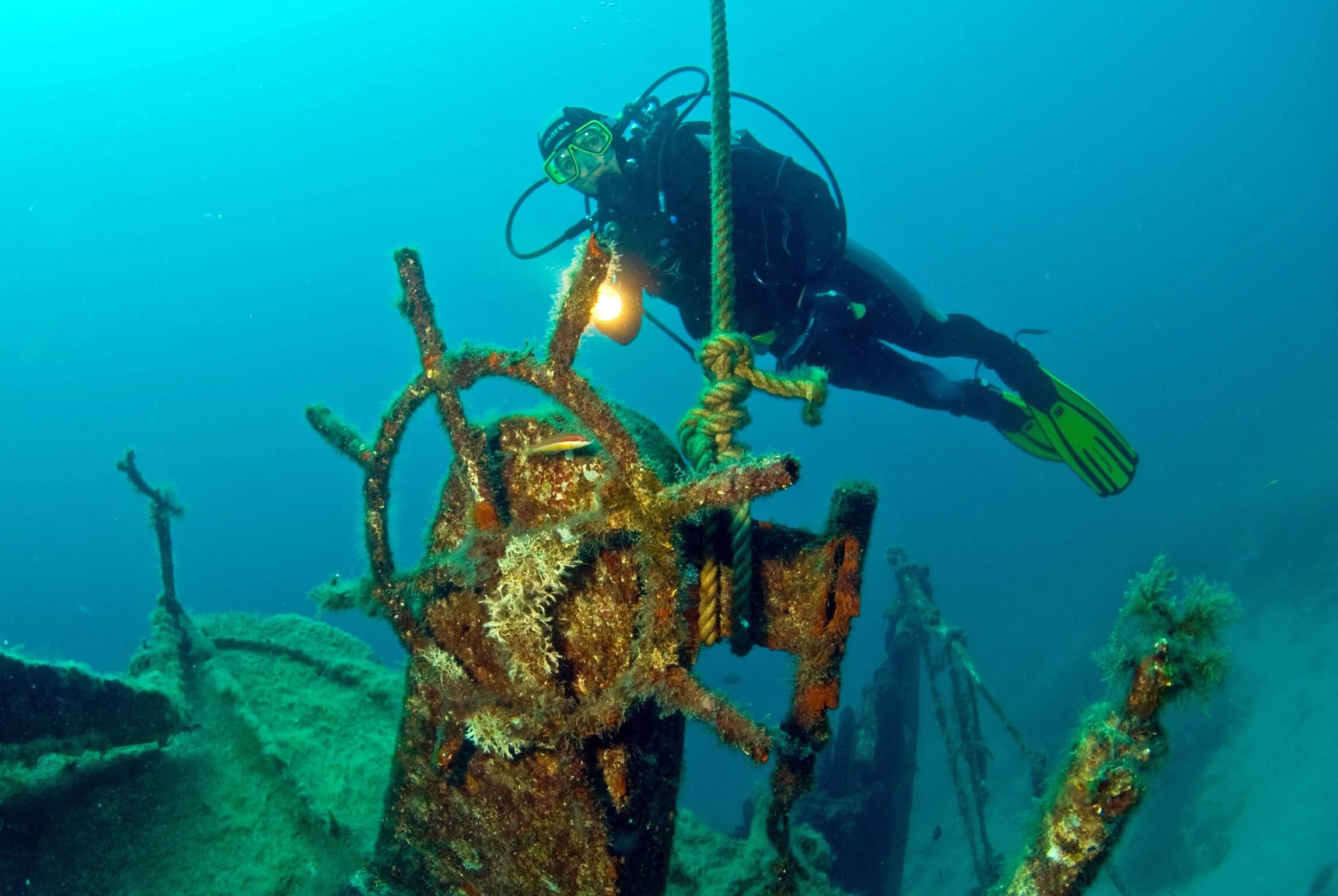 Diving Adventures